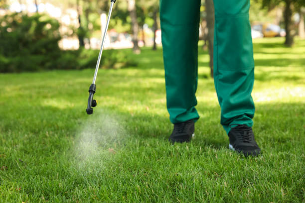 Best Best Pest Control Companies  in Pahoa, HI