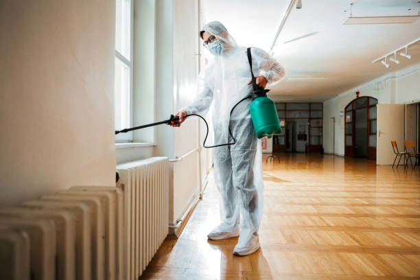 Best Ant Control Services  in Pahoa, HI