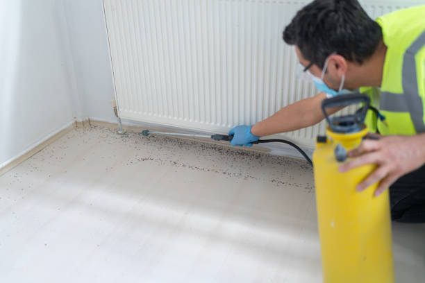 Best Pest Control for Businesses  in Pahoa, HI