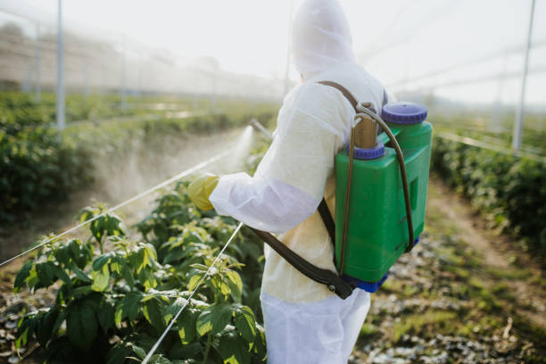 Best Residential Pest Control  in Pahoa, HI